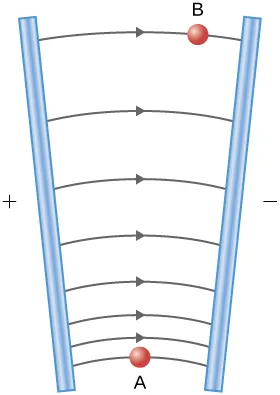 The electric field lines originate on the positive plate, and terminate on the negative plate; the field lines are closer together where the plates are closer together.