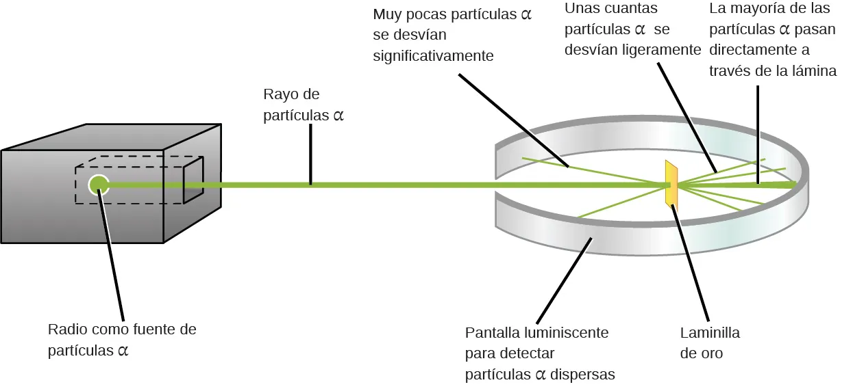 Esta figura muestra una caja a la izquierda que contiene una fuente de partículas alfa de radio que genera un haz de partículas alfa. El haz atraviesa una abertura dentro de una pantalla luminiscente en forma de anillo que se utiliza para detectar las partículas alfa dispersas. En el centro del anillo que forma la pantalla hay un trozo de lámina de oro. Cuando el haz se encuentra con la lámina de oro, la mayoría de las partículas alfa la atraviesan directamente y golpean la pantalla luminiscente que se encuentra directamente detrás de la lámina. Algunas de las partículas alfa son ligeramente desviadas por la lámina y chocan con la pantalla luminiscente situada a un lado de la lámina. Algunas partículas alfa se desvían significativamente y rebotan para golpear la parte delantera de la pantalla.