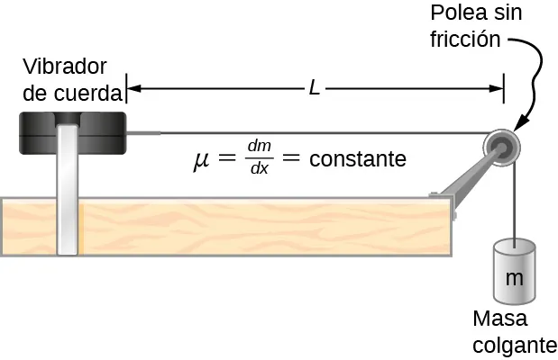 A la izquierda de la figura se muestra un vibrador de cuerda. Una cuerda está atada a su derecha. Esta va sobre una polea y baja por el lado de la mesa. Una masa colgante m está suspendida de ella. La polea no tiene fricción. La distancia entre la polea y el vibrador de cuerda es L. Se identifica mu igual a dm mediante dx igual a constante.