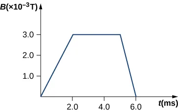 A graph of the magnetic field, B, in units of 10^(–3) Tesla versus time t in milliseconds. A line starts at (0, 0) and rises linearly until (2.0 m s, 3 × 10^(–3) T). From 2.0 m s to 5.0 m s, the line remains at a constant magnetic field value of 3 × 10^(–3) T. From 5 m s to 6 m s, the line decreases from 3 × 10^(–3) T to zero Tesla. The line ends at that point.