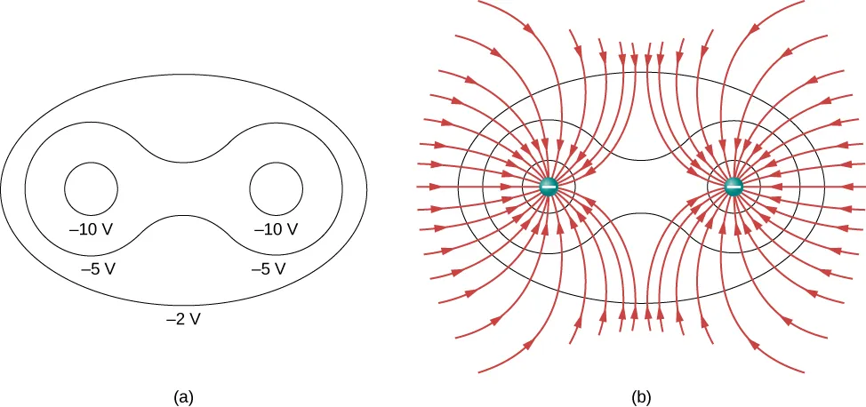 Część a pokazuje ekwipotencjalne linie wokół dwóch ładunków a część b przedstawia dwa ładunki ujemne oraz ich linie pola elektrycznego.&nbsp;