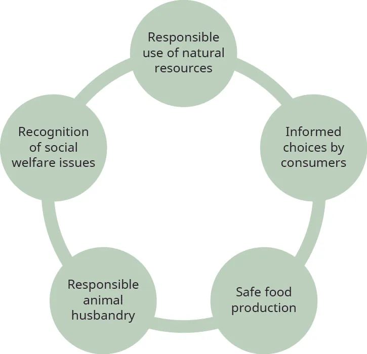This graphic shows five circles arranged in a circle, with a line connecting them to one another. From the top circle clockwise they are: “Responsible use of natural resources,” “Informed choices by consumers,” “Safe food production,” “Responsible animal husbandry,” and “Recognition of social welfare issues.”