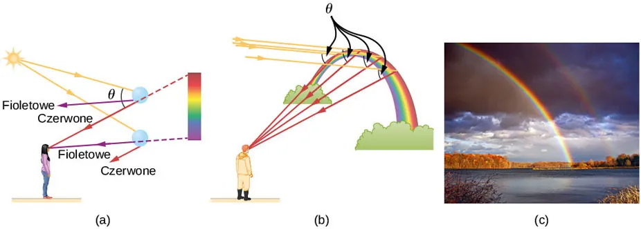 Na rysunku a, promienie słońca padają na dwie krople wody znajdujące się blisko siebie. Promienie ulegają załamaniu i całkowitemu wewnętrznemu odbiciu wewnątrz kropli. Czerwone światło wyłania się z górnej kropli pod katem teta względem promienia padającego. Fioletowe światło wyłania się pod mniejszym kątem. Czerwone i fioletowe światło wyłania się również z dolnej kropli pod nieco innymi kątami. Kobieta zwrócona tyłem do słońca obserwuje krople z oddali. Czerwone światło z wyższej kropli i fioletowe światło z niższej kropli docierają do oczu obserwatorki z różnych kierunków. Obserwatorka widzi sekwencję barw z fioletem na dole i czerwienią na górze. Na rysunku b, mężczyzna patrzy na tęczę o kształcie łuku. Równoległe promienie zza pleców mężczyzny padają na tęczę w wielu różnych miejscach, odbijają się, załamują, i trafiają do oczu obserwatora. Każdy wychodzący promień tworzy taki sam kąt teta z promieniem padającym. Promienie docierające do obserwatora są czerwone. Figura c to zdjęcie podwójnej tęczy na tle nieba.