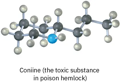 Ball and stick model of a six-membered ring with one nitrogen in the ring, with a propyl substituent on the adjacent carbon.