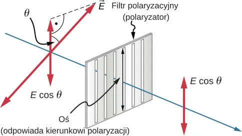 Figura przedstawia sytuację z poprzednich figur. Na promieniu padającym, na lewo od filtra polaryzacyjnego, narysowany jest tylko jeden z wektorów E, wraz ze składową równoległą do osi filtra. Wektor E tworzy kąt teta względem ustawionej pionowo osi filtra. Wartość pionowej składowej wektora E wynosi E cosinus teta. Po przejściu przez filtr, światło ma tylko pionową składową, a jego natężenie ma wartość E cosinus teta.