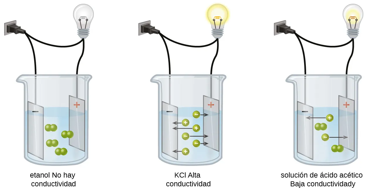 Este diagrama muestra tres vasos de precipitados separados. Cada uno tiene un cable que se conecta a una toma de corriente. En cada caso, el cable va desde la pared hasta el vaso de precipitados y se divide dando lugar a dos extremos. Un extremo conduce a una bombilla y continúa hasta un rectángulo marcado con un signo positivo. El otro extremo conduce a un rectángulo marcado con un signo negativo. Los rectángulos están en una solución. En el primer vaso de precipitados, marcado como "Etanol sin conductividad", hay cuatro pares de pequeñas esferas verdes unidas y suspendidas en la solución entre los rectángulos. En el segundo vaso de precipitados, marcado como "K C l Conductividad fuerte", se encuentran suspendidas en la solución seis esferas verdes individuales, tres marcadas con signo positivo y tres con signo negativo. Cada una de las seis esferas tiene una flecha que sale de ella y apunta al rectángulo marcado con el signo contrario. En el tercer vaso, marcado como "Solución de ácido acético Conductividad débil", se muestran dos pares de esferas verdes unidas y dos esferas individuales, una marcada con un signo positivo y otra con el signo negativo, suspendidas entre los dos rectángulos. La esfera marcada con el signo positivo tiene una flecha que apunta al rectángulo marcado con el signo negativo y la esfera marcada con el signo negativo tiene una flecha que apunta al rectángulo marcado con el signo positivo.
