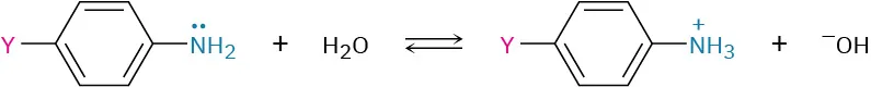 The reversible reaction of para-substituted amine with water to form para-substituted anilinium ion and hydroxide ion.