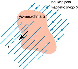 Rysunek przedstawia powierzchnię o nieregularnym kształcie, której wielkość wynosi A. Jednostkowy wektor tejże powierzchni jest do niej prostopadły i zwrócony ku lewej stronie rysunku. Powierzchnię pod kątem prostym przecinają równoległe, liczne linie sił pola magnetycznego o indukcji B. Linie zwrócone są ku prawej stronie rysunku.