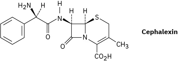 The wedge-dash structure of cephalexin.