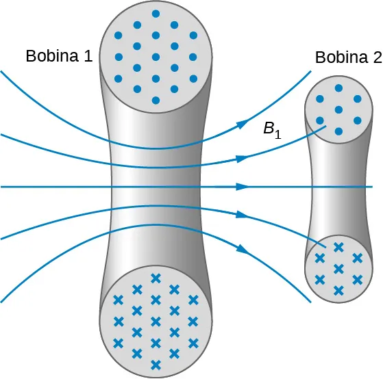 La figura muestra las secciones transversales de dos bobinas. En cada una de ellas, las secciones transversales del cable de la bobina se muestran como dos círculos, uno en la parte superior y otro en la inferior. Los puntos en los círculos superiores y las cruces en los inferiores indican la dirección del flujo de la corriente. La bobina 1 tiene líneas de campo marcadas como B1 que pasan de entre los dos círculos, yendo hacia la derecha. Algunas de ellas pasan por la bobina 2, que es más pequeña que la bobina 1.