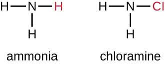 Ammonia has an N and 3 Hs. Chloramine has an N, 2 Hs and 1 Cl.