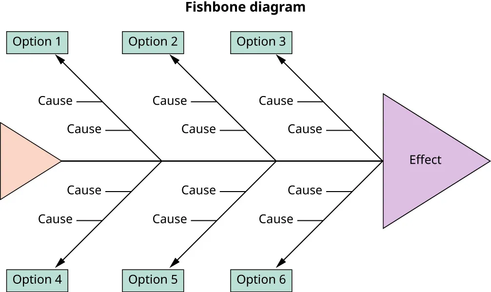 Fishbone diagram showing six options with causes, coming together and leading to an effect.