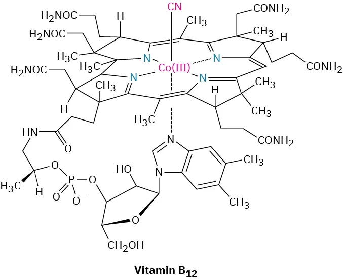 The structure of vitamin B 12.