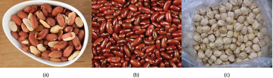 Top photo shows a bowl of shelled peanuts. Middle photo shows red kidney beans. Bottom photo shows white, bumpy, round chickpeas.