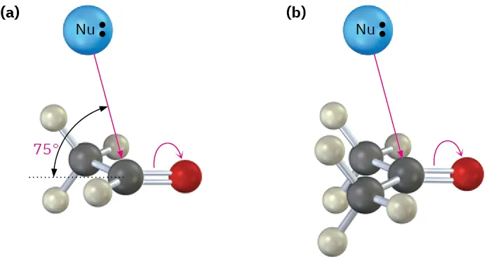 Ball-and-stick models of ethanal and acetone. It shows the nucleophilic attack on carbonyl and bond shifts in linear arrangements. Black, gray, and red spheres represent carbon, hydrogen, and oxygen, respectively.