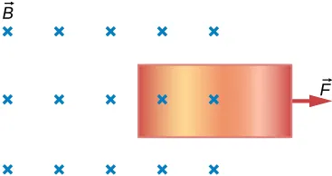 Rysunek przedstawia prostokątny obszar, w którym istnieje jednorodne pole magnetyczne o indukcji B – prostopadłe do płaszczyzny tegoż rysunku. Pole to zwrócone jest do płaszczyzny rysunku. Dłuższe boki obszaru tegoż pola są poziome. Równolegle do płaszczyzny rysunku - znajduje się prostokąt, wypełniony kolorem miedzi. Dłuższe boki prostokąta są poziome. Połowa powierzchni tegoż prostokąta znajduje się poza prawą granicą obszaru pola magnetycznego. W połowie długości krótszego, prawego pionowego boku miedzianego prostokąta, przyłożony jest poziomy wektor siły F. Wektor ten zwrócony jest ku prawej stronie rysunku.
