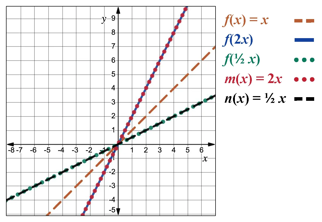 A graph shows lines for functions: f of x equals x is the orange dashed line, f of 2 times x is the blue solid line, f of one-half times x is the green solid line, m of x equals 2 times x is the red dotted line, and n of x equals one-half times x is the black dashed line. All lines go through the origin with a positive slope.