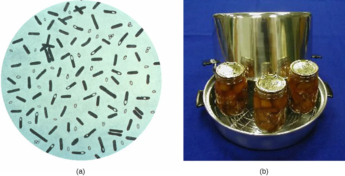 Techniques preventing botulism. Description below.