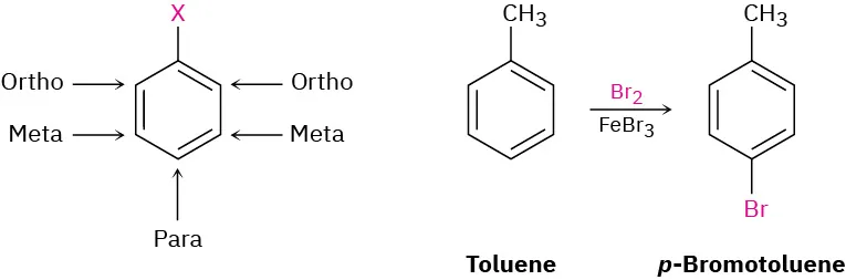 A benzene bonded to X with ortho, meta, and para positions labeled. To the right, toluene reacts with molecular bromine and F e B r 3 to form para-bromotoluene.