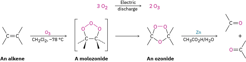 Oxygen in an electric discharge produce ozone. An alkene reacts with ozone to form a molozonide, which rearranges into an ozonide. Ozonide is reduced with zinc to two carbonyl compounds.