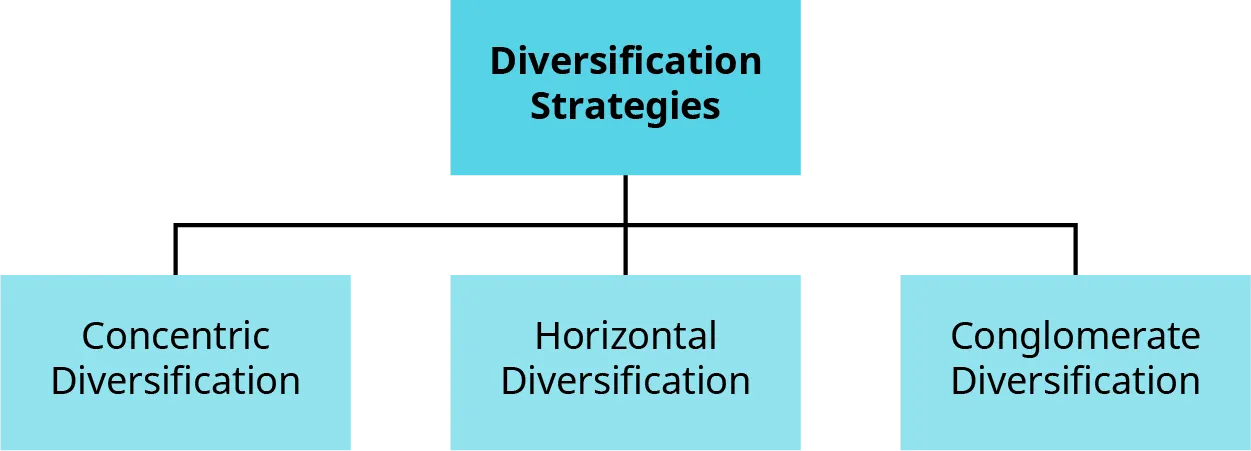 The three types of diversification strategies are concentric diversification, horizontal diversification, and conglomerate diversification.