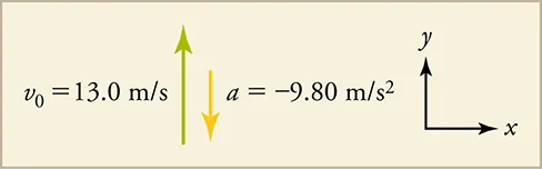 An upward-pointing original velocity vector is shown and is labeled thirteen meters per second. Next to it, a downward, shorter acceleration vector is shown and is labeled negative nine point eight meters per second squared. Unlabeled x and y-axes are shown for reference.