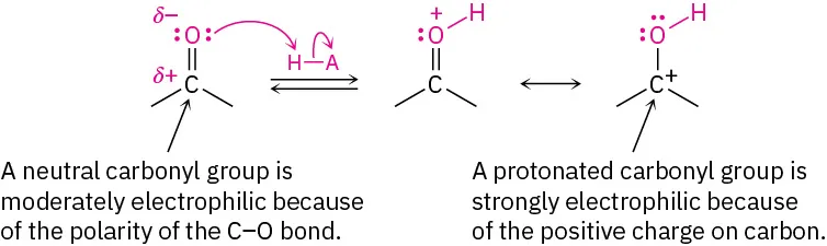 The structure shows a reversible reaction where a carbonyl group is protonated at oxygen by H A; resonance produces neutral O H group single bonded to carbocation.