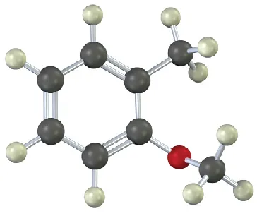 The ball-and-stick model has a benzene ring. C 1 is bonded to a small red sphere, which is bonded to a methyl group. C 2 is bonded to methyl group.