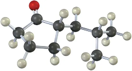 A ball-and-stick model of cyclopentene with carbonyl on C 1. C 2 is linked to a methylene further connected to a C H. This is linked to two methyl groups.