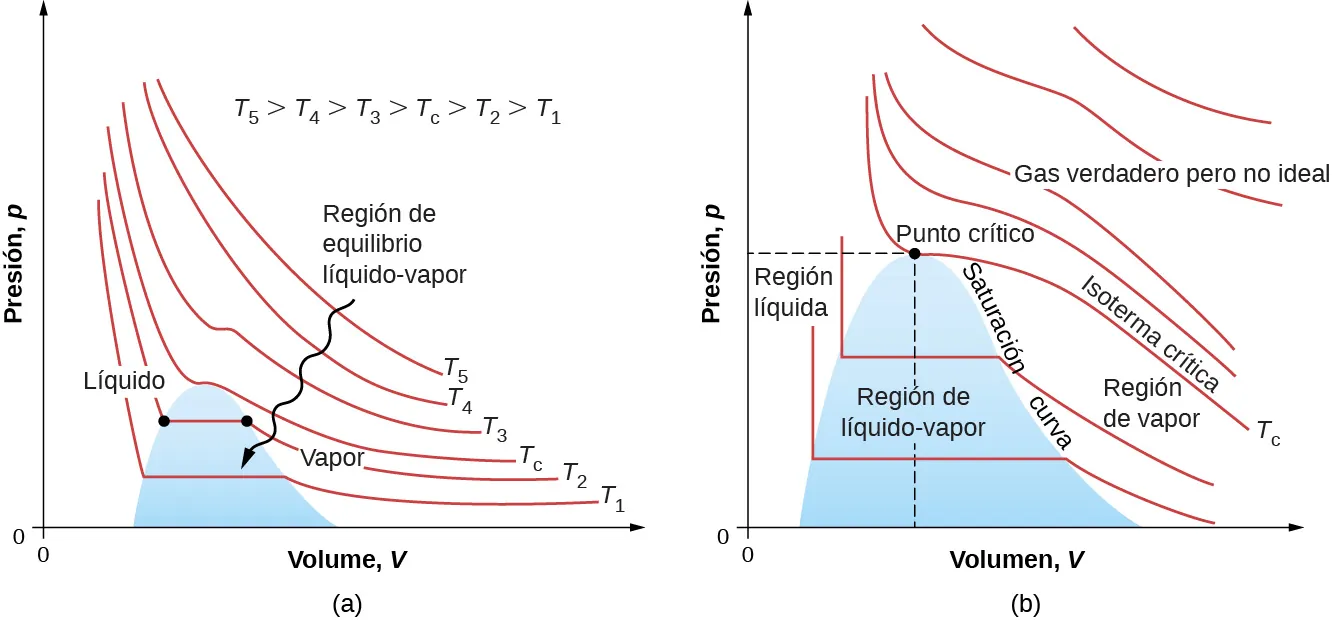La figura tiene dos trazados de presión, p, en el eje vertical como una función de volumen, V, en el eje horizontal a varias temperaturas diferentes. La figura a muestra seis isotermas identificadas, de abajo a arriba, T 1, T 2, T C, T 3, T 4 y T 5. Una nota en el gráfico nos indica que estas temperaturas también están en orden creciente. Los gráficos muestran que la presión generalmente disminuye con el aumento del volumen para todas las temperaturas, excepto a bajas temperaturas cuando la presión es constante como una función de volumen durante un cambio de fase. El cambio de fase ocupa una región en el trazado sombreada en azul e identificada como región de equilibrio líquido-vapor. La figura b es el mismo trazado, ampliado para mostrar el diagrama p V en y alrededor de la región de vapor líquido sombreada. Por encima de la región sombreada, las curvas disminuyen monótonamente. La curva que todavía está fuera, pero apenas toca el pico de la región de vapor líquido, está identificada como isoterma crítica, T c. El punto en el que esta curva se encuentra con la región sombreada está identificado como punto crítico. La región a la izquierda de la región sombreada y a presiones inferiores a la del punto crítico es la región líquida. La región a la derecha de la región sombreada es la región de vapor. El borde derecho de la región sombreada es la curva de saturación. La región por encima de la isoterma crítica se etiqueta como gas verdadero pero no ideal.