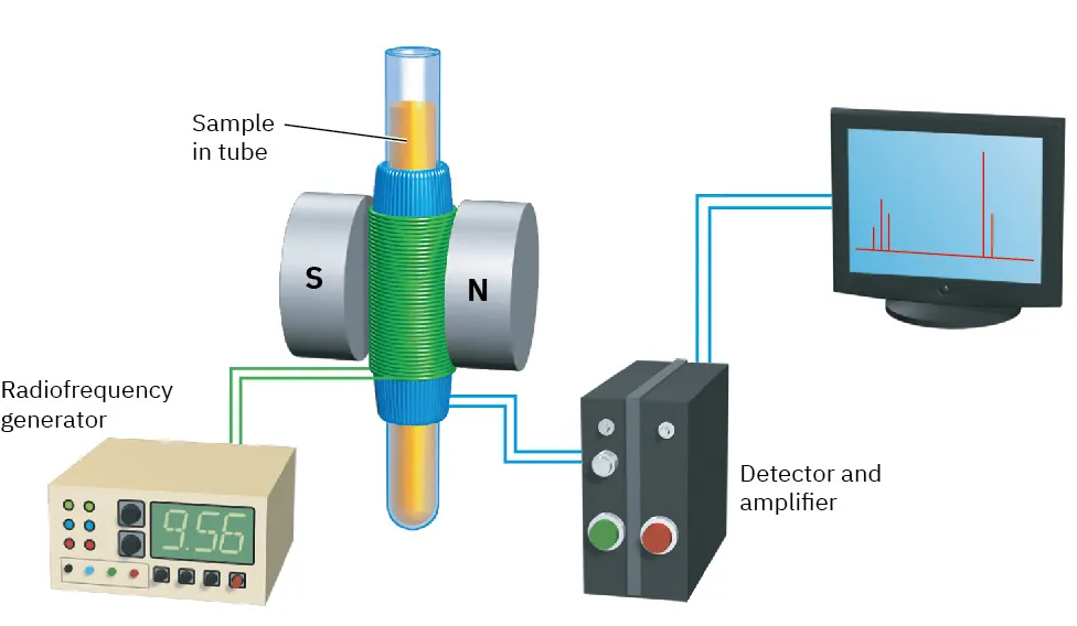 Schematic diagram of spectrometer shows sample in tube placed between south and north poles. Tube connects to radiofrequency generator (left) and detector and amplifier (right), which further connects to monitor.