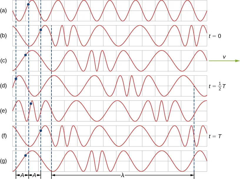 Las figuras de la a a la g muestran diferentes etapas de una onda longitudinal que pasa a través de un resorte. Un punto azul marca un punto en el resorte. Este se mueve de izquierda a derecha a medida que la onda se propaga hacia la derecha. En la figura b, en el tiempo t = 0, el punto está a la derecha de la posición de equilibrio. En la figura d, en un tiempo t igual a la mitad de T, el punto está a la izquierda de la posición de equilibrio. En la figura f, en el tiempo t = T, el punto está de nuevo a la derecha. La distancia entre la posición de equilibrio y la posición extrema izquierda o derecha del punto es la misma y está identificada como A. La distancia entre dos partes idénticas de la onda se identifica como lambda.