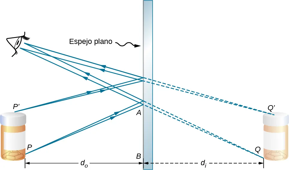 La figura muestra la sección transversal de un espejo plano en el centro, una botella a su izquierda y una botella descolorida (que indica que es una imagen) a su derecha. Las distancias del objeto y de la imagen desde la base del espejo se denominan d subíndice o y d subíndice i respectivamente. Dos rayos que parten del punto P, en la base del objeto, inciden en el espejo en dos puntos distintos. Los rayos reflejados desde estos puntos llegan al ojo del observador, mostrado en la parte superior izquierda. Los rayos se prolongan hacia la derecha mediante líneas punteadas, de manera que parecen originarse en el punto Q, en la base de la imagen. Del mismo modo, dos rayos, que parten del punto P primo, en la parte superior del objeto chocan con el espejo y se reflejan en el ojo del observador. Cuando se extienden hacia atrás, estos rayos reflejados parecen originarse en el punto Q primo, en la parte superior de la imagen.