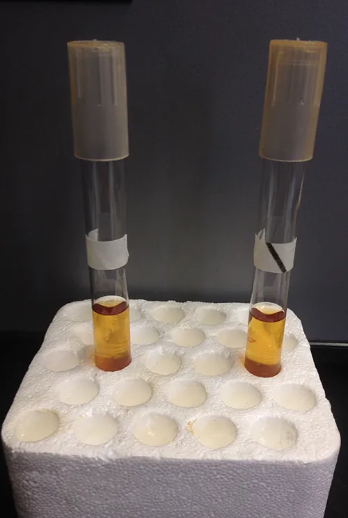 Test tubes. The one on the left has white tape, the one on the right has the same white tape but it now has a black line.