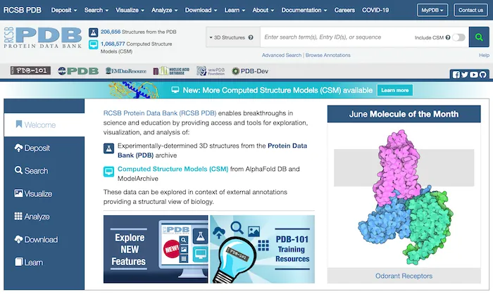 The home page of the protein data bank (P D B) at www.rcsb.org