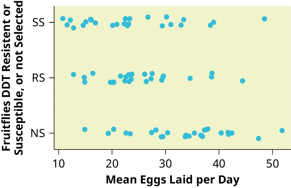 This graph is a scatterplot which represents the data provided. The horizontal axis is labeled 'Mean eggs laid per day' and extends from 10 - 50. The vertical axis is labeled 'Fruitflies DDT resistant or susceptible, or not selected.' The vertical axis is labeled with the categories NS, RS, SS.