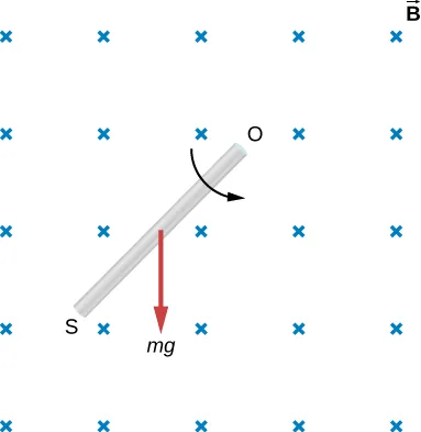 La figura muestra una varilla de longitud l que se encuentra en el campo magnético uniforme. La varilla gira en sentido contrario a las agujas del reloj alrededor del eje a través de O por el torque debido a mg.