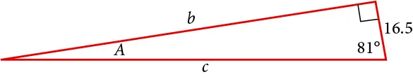 A right triangle with corners labeled A, B, and C. Sides labeled b, c, and 16.5. Angle of 81 degrees also labeled.