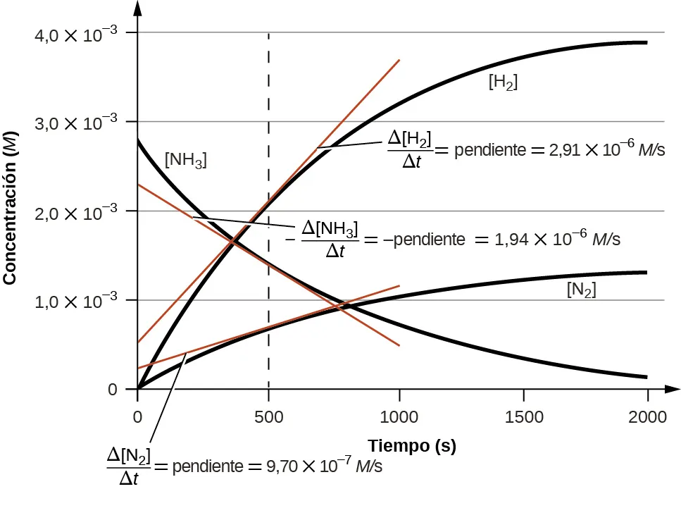 Se muestra un gráfico con la etiqueta, "Tiempo (s)", que aparece en el eje x y "Concentración (M)", en el eje y. Las marcas del eje x comienzan en 0 y terminan en 2.000. Las marcas están etiquetadas a intervalos de 500. El eje y comienza en 0 e incluye marcas cada 1,0 por 10 superíndice negativo 3, hasta 4,0 por 10 superíndice negativo 3. Se muestra una curva decreciente, cóncava hacia arriba, no lineal, que comienza en aproximadamente 2,8 por 10 superíndice negativo 3 en el eje y y casi alcanza un valor de 0 en el extremo derecho del gráfico en la marca 2.000 en el eje x. Esta curva está etiquetada como "[N H subíndice 3]". Se muestran dos curvas adicionales que son crecientes y cóncavas hacia abajo y comienzan ambas en el origen. La más baja de estas dos curvas está etiquetada como "[N subíndice 2]". Alcanza un valor de aproximadamente 1,25 por 10 superíndice negativo 3 a los 2.000 segundos. La curva final está etiquetada como "[H subíndice 2]". Alcanza un valor de aproximadamente 3,9 por 10 superíndice negativo 3 a los 2.000 segundos. Se dibuja un segmento de línea tangente roja a cada una de las curvas del gráfico a los 500 segundos. A los 500 segundos en el eje x, se muestra una línea discontinua vertical. Junto al gráfico [N H subíndice 3] aparece la ecuación "delta mayúscula negativa [N H subíndice 3] sobre delta mayúscula t = pendiente negativa = 1,94 por 10 superíndice negativo 6 M/s". Junto al gráfico [N subíndice 2] aparece la ecuación "delta mayúscula negativa [N subíndice 2] sobre delta mayúscula t = pendiente negativa = 9,70 por 10 superíndice negativo 7 M/s". Junto al gráfico [H subíndice 2] aparece la ecuación "delta mayúscula negativa [H subíndice 2] sobre delta mayúscula t = pendiente negativa = 2,91 por 10 superíndice negativo 6 M/s".