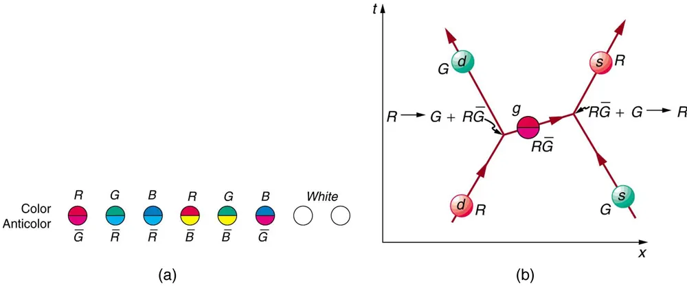 The first image shows eight circles representing gluons. The first gluon is colored red and anti green, the second gluon is colored green and anti red, the third gluon is colored blue and anti red, the fourth gluon is colored red and anti blue, the fifth gluon is colored green and anti blue, and the sixth gluon is colored blue and anti green. The last two gluons are white. The second image shows a Feynman diagram in which time proceeds in along the vertical y axis and distance along the horizontal x axis. A red down quark and a green strange quark are approaching each other. They exchange a red and anti green gluon, then move apart, with the red down quark having changed to a green down quark and the green strange quark having changed to a red strange quark. 