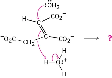An incomplete reaction with an unknown product shows water molecule attacking an alkene carbon. The electrons from the double bond deprotonate hydronium.