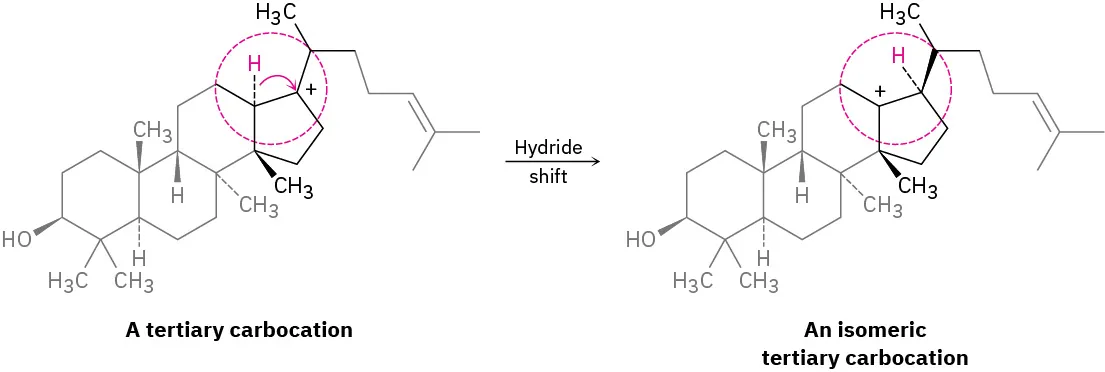 A tertiary carbocation undergoes hydride shift to form an isomeric tertiary carbocation. Dotted circle denotes the hydride shift in reactant and product