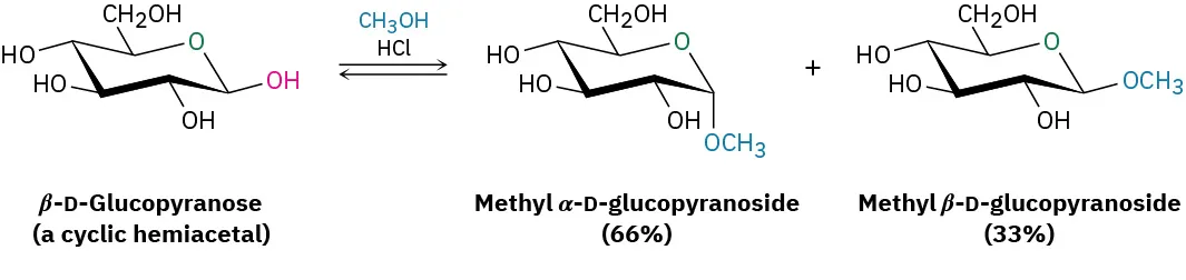 The reversible reaction of beta-D-glucopyranose with methanol in the presence of an acid gives a mixture of alpha and beta methyl D-glucopyranosides in sixty-six and thirty-three percent yield, respectively.