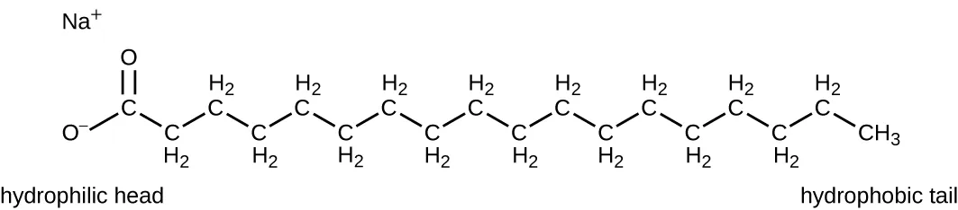 Soap chemical structure. Description below.