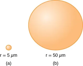 Two spheres, A and B, are illustrated. A is labelled with a radius of 5 microns. B is much larger and is labelled with a radius of 50 microns.