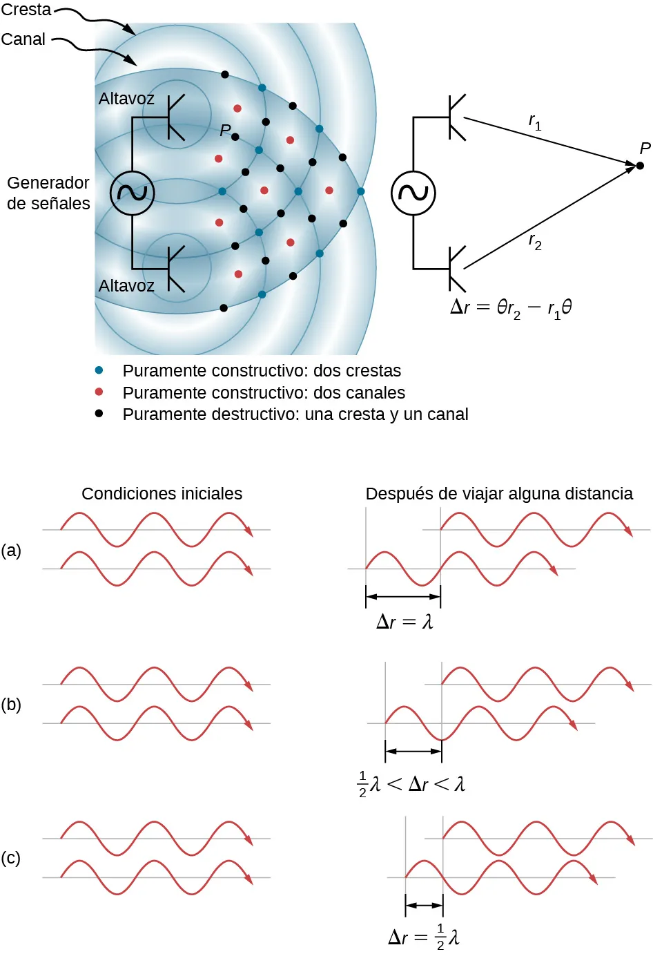La imagen superior es un dibujo de dos altavoces accionados por un único generador de señales. Las ondas sonoras producidas por los altavoces están en fase y son de una sola frecuencia. La interferencia constructiva está marcada por los puntos rojos y azules, la interferencia destructiva está marcada por puntos negros. La figura A corresponde a la situación en la que la diferencia de longitudes del trayecto es de una longitud de onda, lo que genera una interferencia constructiva total y una amplitud resultante igual al doble de la amplitud original.