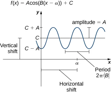 An image of a graph. The graph is of the function “f(x) = Acos(B(x - alpha)) + C”. Along the y axis, there are 3 hash marks: starting from the bottom and moving up, the hash marks are at the values “C - A”, “C”, and “C + A”. The distance from the origin to “C” is labeled “vertical shift”. The distance from “C - A” to “A” and the distance from “A” to “C + A” is “A”, which is labeled “amplitude”. On the x axis is a hash mark at the value “alpha” and the distance between the origin and “alpha” is labeled “horizontal shift”. The distance between two successive minimum values of the function (in other words, the distance between two bottom parts of the wave that are next to each other) is “(2 pi)/(absolute value of B)” is labeled the period. The period is also the distance between two successive maximum values of the function.