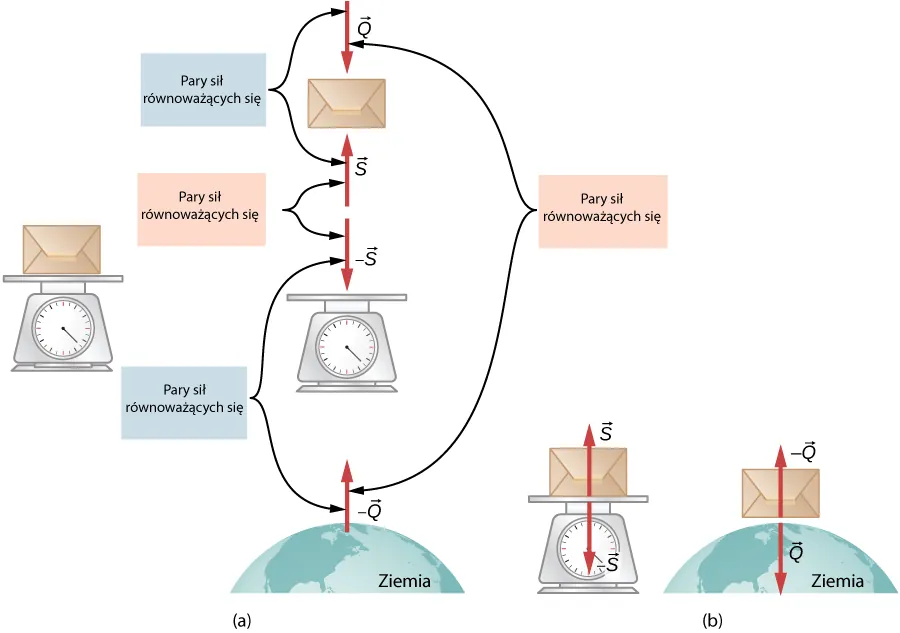 Rysunek a przedstawia paczkę znajdującą się na wadze na Ziemi. Wszystkie trzy analizowane ciała, tj. paczka, waga i Ziemia pokazane są osobno wraz z wektorami sił na nie działającymi. Siła ciężkości Q działa w dół na paczkę, a siła reakcji S w górę. Siła minus s działa w dół na wagę. Z kolei siła minus Q działa w górę na kulę Ziemską. Pary sił Q i S oraz minus Q i minus S są oznaczone strzałkami jako efekt działania trzeciego prawa Newtona. Jako wynik tego prawa podobnie oznaczono pary sił Q i minus Q oraz S i minus S. na rysunku b pokazano dwa odizolowane układy: paczkę na wadze oraz paczkę na Ziemi. Na pierwszym z tych układów zaznaczono dwie siły S i minus S mające przeciwne zwroty, z kolei na rysunku paczki na Ziemi są siły Q i minus Q, również o przeciwnych zwrotach.