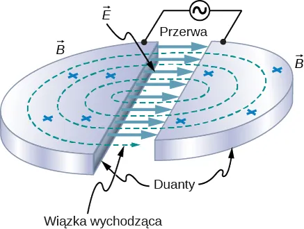 Rysunek przedstawia dwie metalowe płyty o kształcie połówek cienkich walców, oddzielone wąską przerwą. Każda płyta połączona jest z jednym biegunem źródła zasilania zmienno-prądowego. Płyty są oznaczone jako duanty. Przerywaną linią w kształcie spirali wychodzącej ze środka rysunku oznaczono tor wiązki. Pomiędzy duantami strzałkami zaznaczono kierunek pola E. Krzyżykami na płytach oznaczono kierunek wektora B.