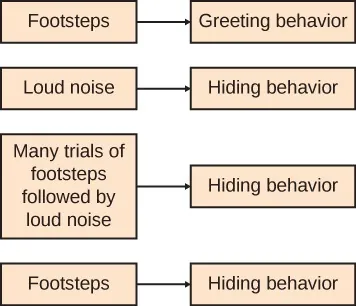 A flow chart shows the stimulus a cat experience and the resulting behavior. Footsteps resulted in greeting behavior. Loud noise resulted in hiding behavior. Many trials of footsteps followed by loud noise resulted in hiding behavior.